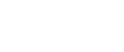ʮһ湝(ji)n2024n(dng)ΑչռSnڣ